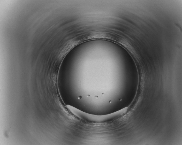 X0000099540849200805231125