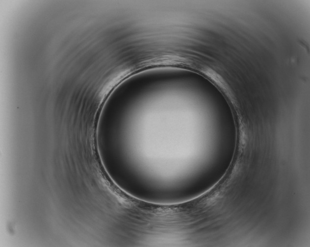 X0000099540850200805231125