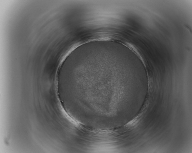 X0000099540851200805231125