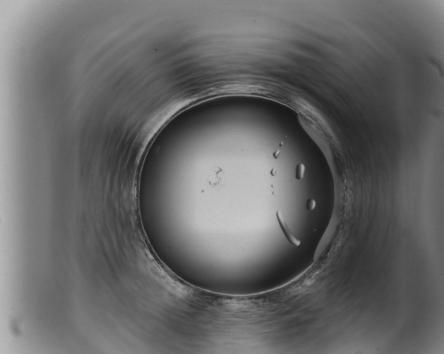 X0000099540852200805231125