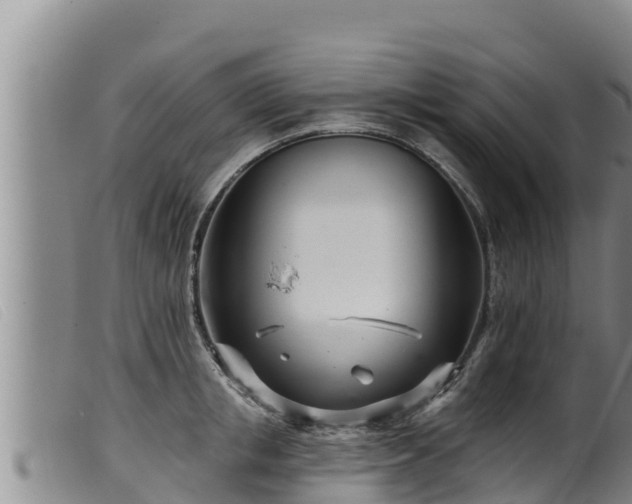 X0000099540853200805231125