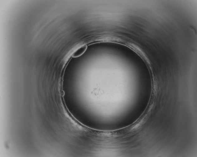 X0000099540855200805231125