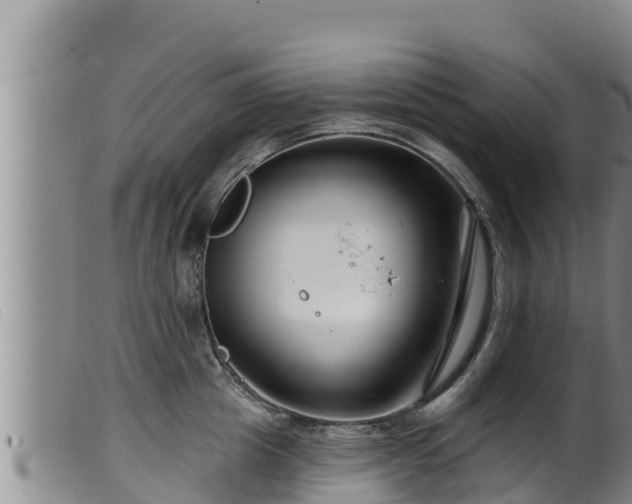 X0000099540857200805231125