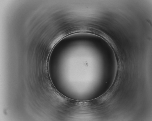 X0000099540858200805231125