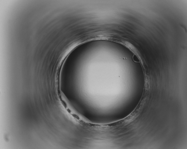 X0000099540859200805231125