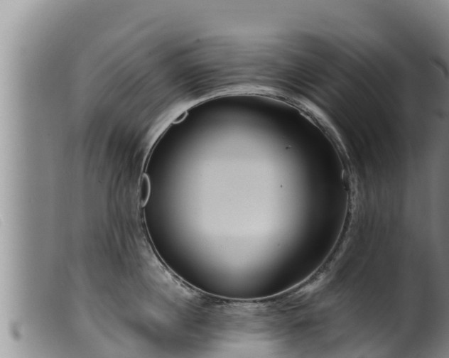 X0000099540860200805231125