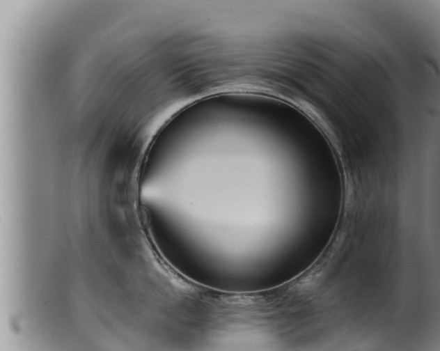 X0000099540862200805231125