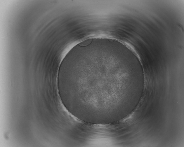 X0000099540863200805231125