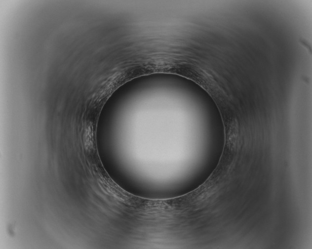 X0000099540866200805231124