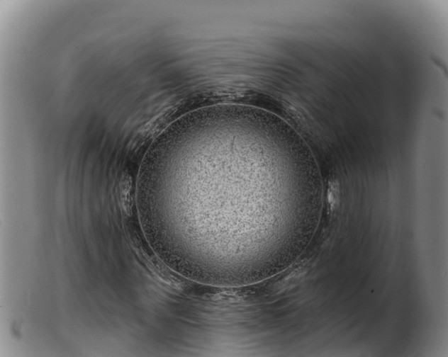 X0000099540867200805231124