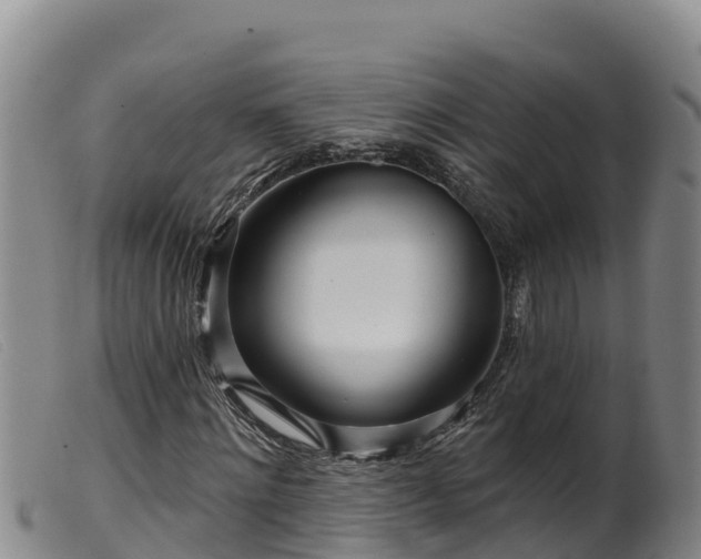 X0000099540868200805231124