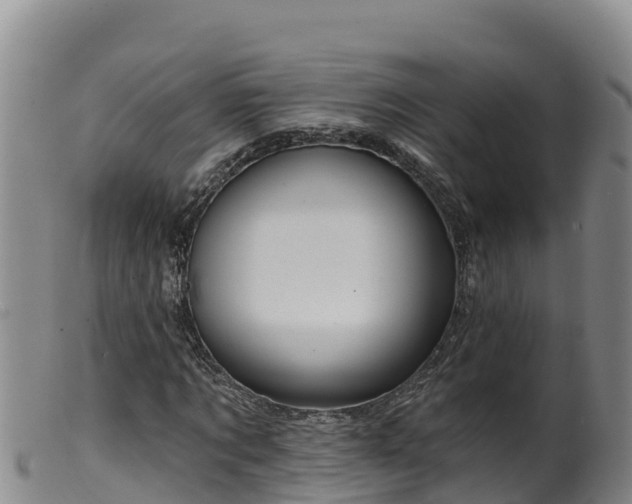 X0000099540869200805231124