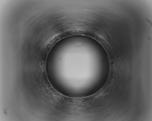 X0000099540870200805231124