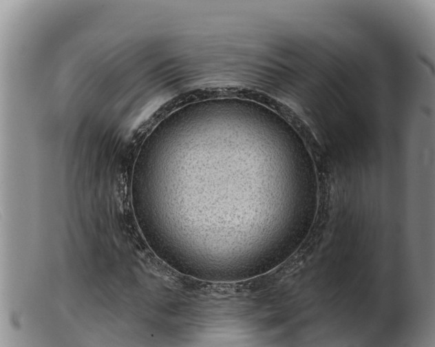 X0000099540871200805231124