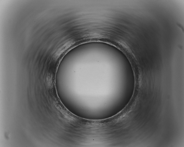 X0000099540873200805231124