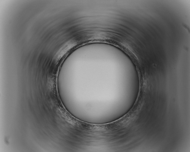 X0000099540874200805231124