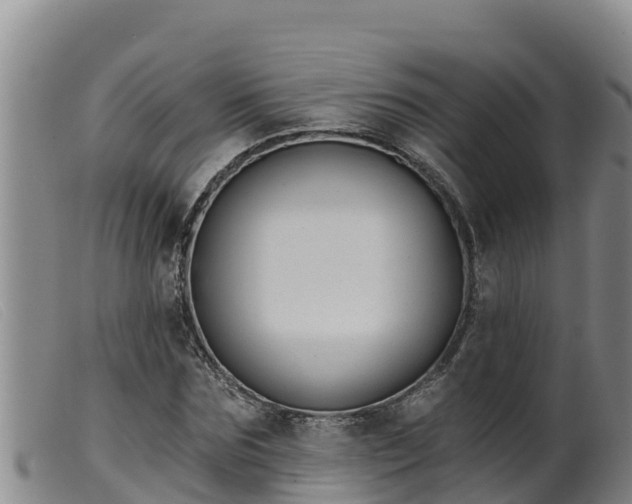 X0000099540875200805231124