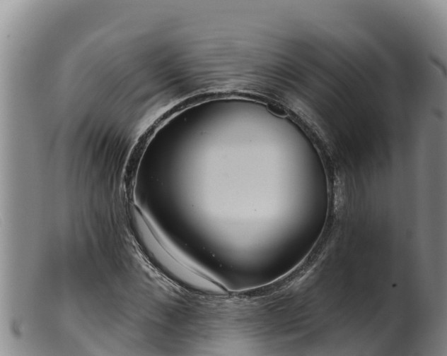 X0000099540876200805231124