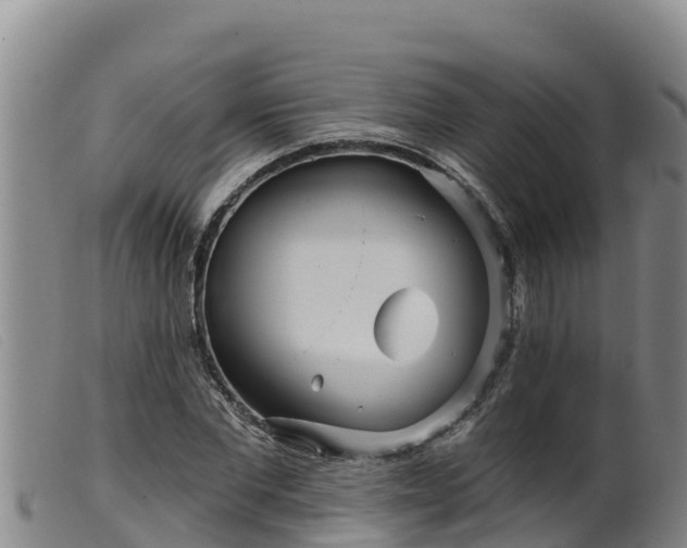 X0000099540877200805231124