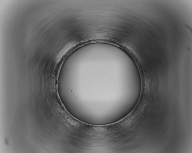 X0000099540878200805231124