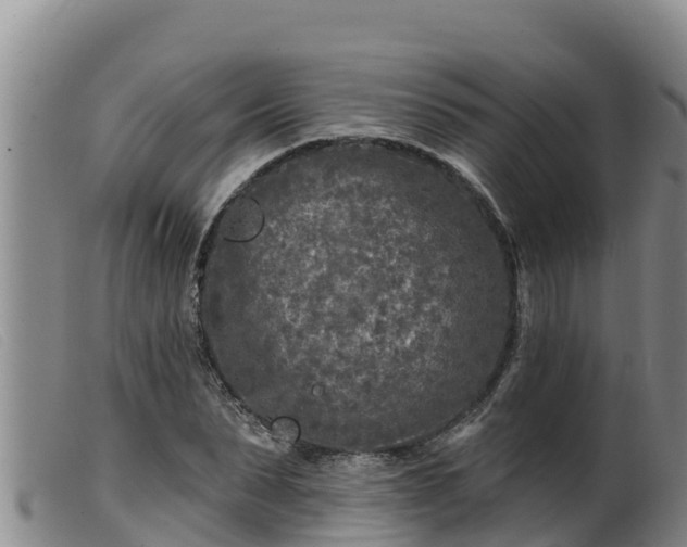 X0000099540879200805231124