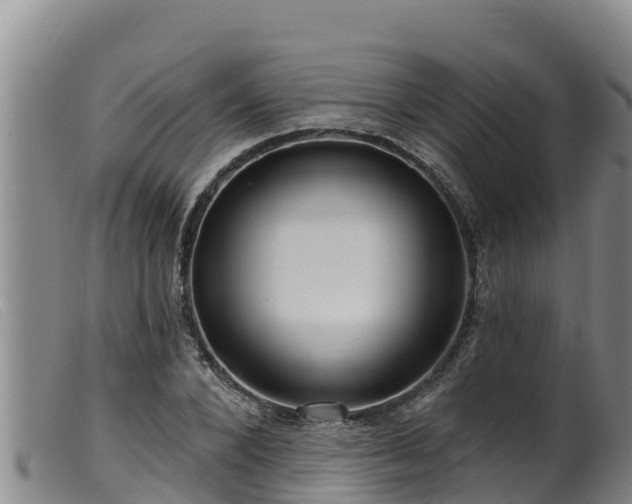 X0000099540880200805231124