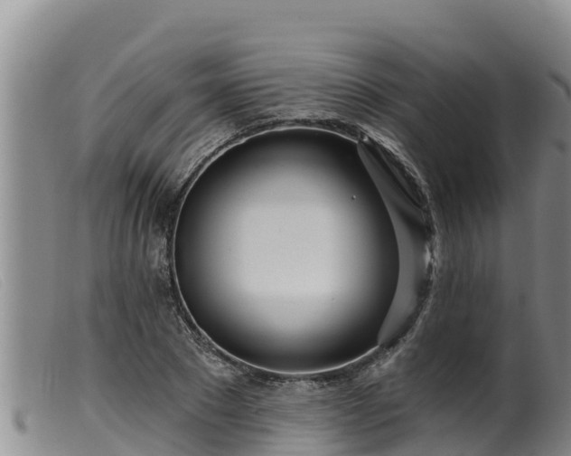 X0000099540881200805231124