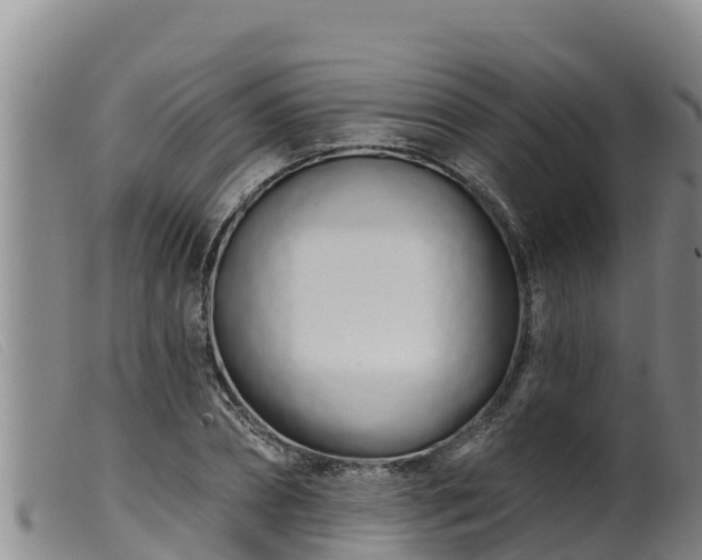 X0000099540882200805231124