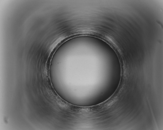 X0000099540883200805231124