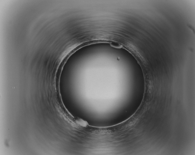 X0000099540884200805231124