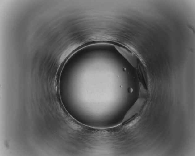 X0000099540885200805231124