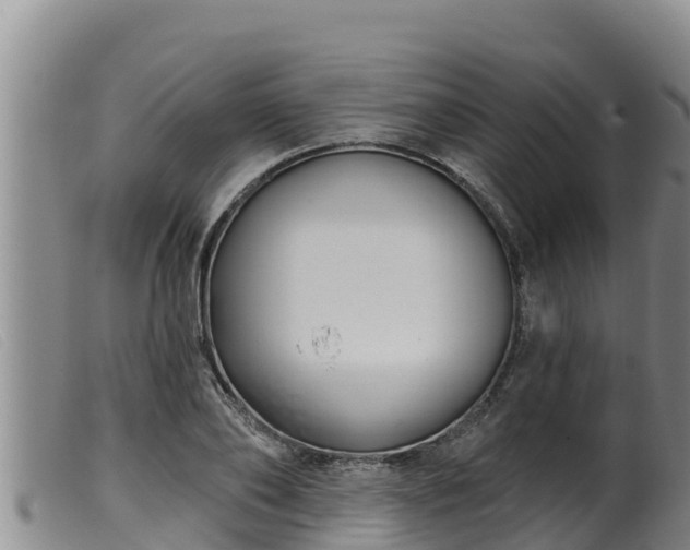 X0000099540886200805231124