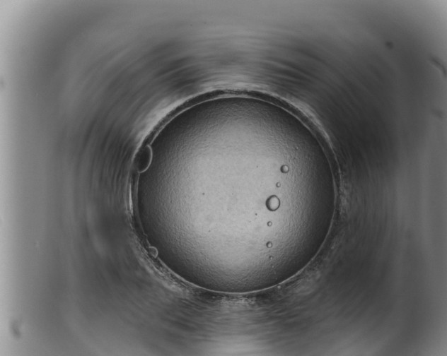 X0000099540887200805231124