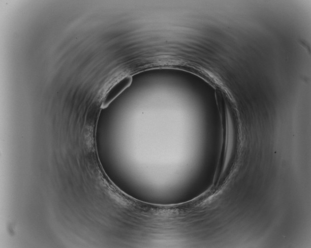 X0000099540889200805231124