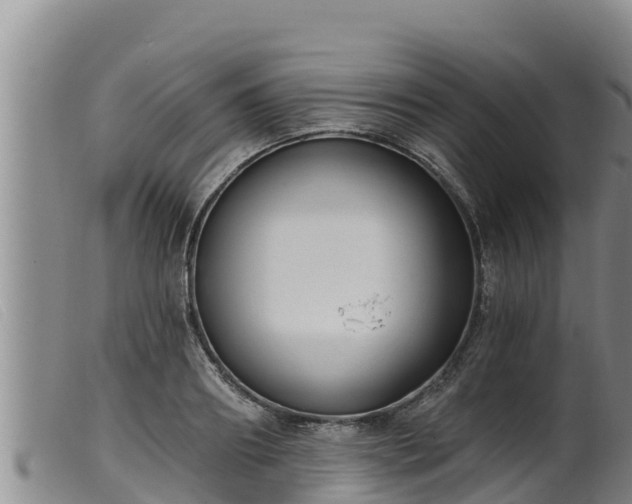 X0000099540890200805231124