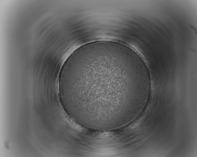 X0000099540891200805231124