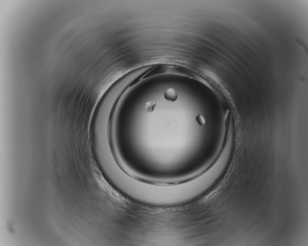 X0000099540892200805231124