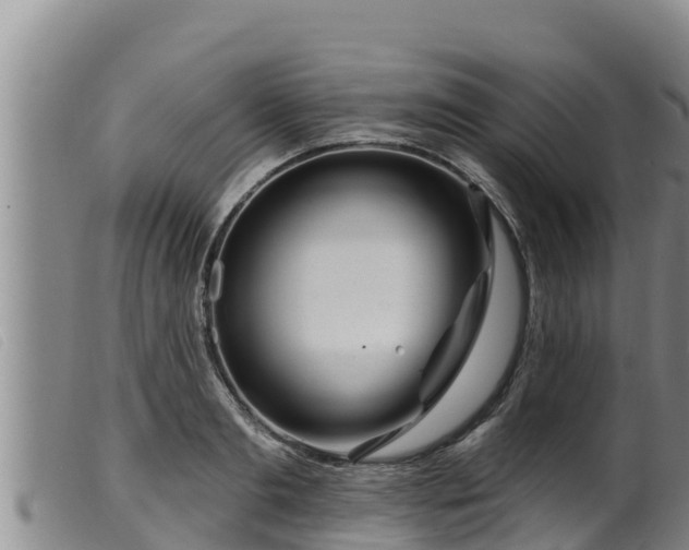 X0000099540893200805231124