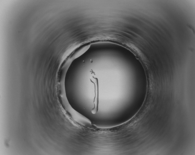 X0000099540894200805231124