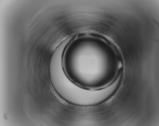 X0000099540897200805231124