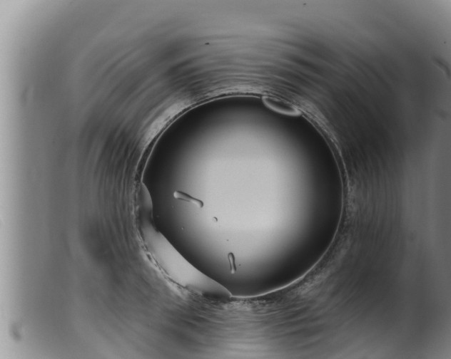 X0000099540898200805231124