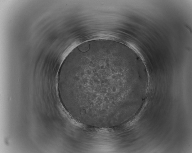 X0000099540899200805231124