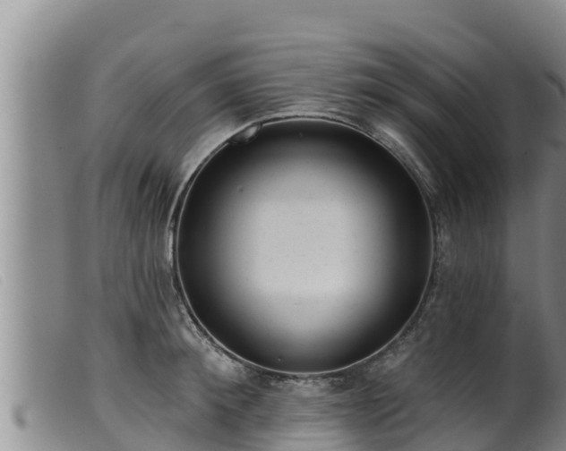 X0000099540900200805231124