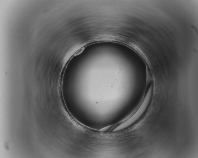 X0000099540901200805231124