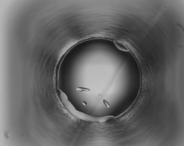 X0000099540902200805231124