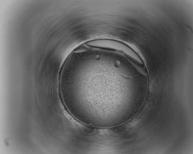 X0000099540903200805231124