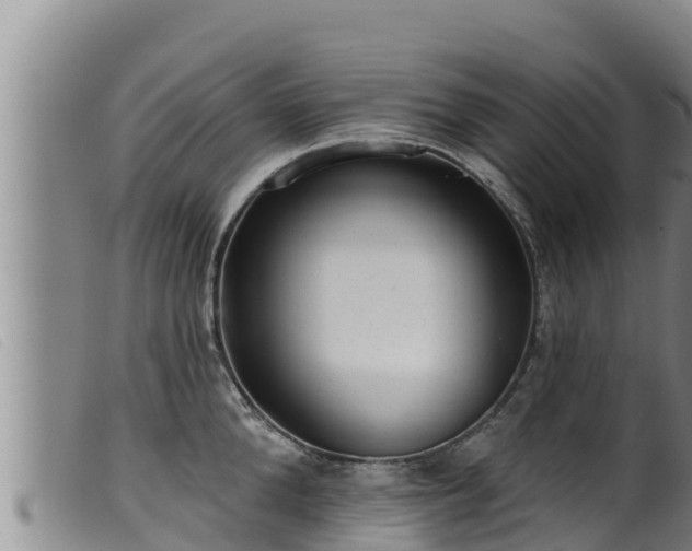 X0000099540904200805231124