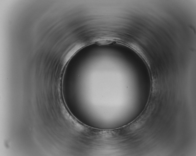 X0000099540906200805231124