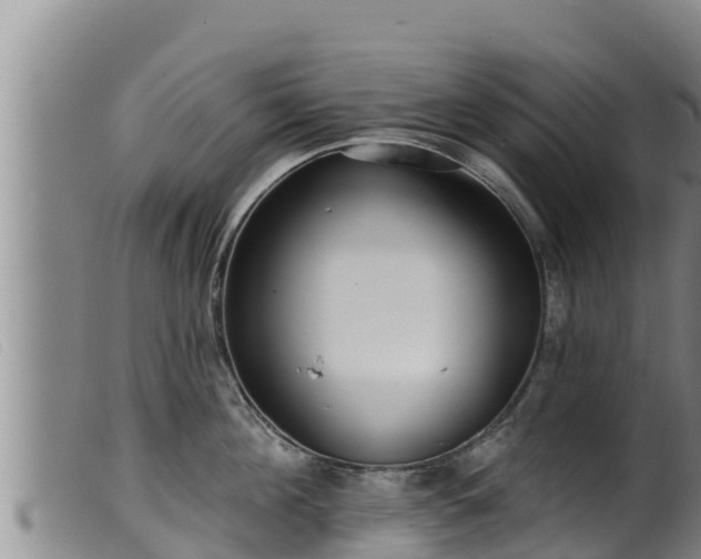 X0000099540908200805231124