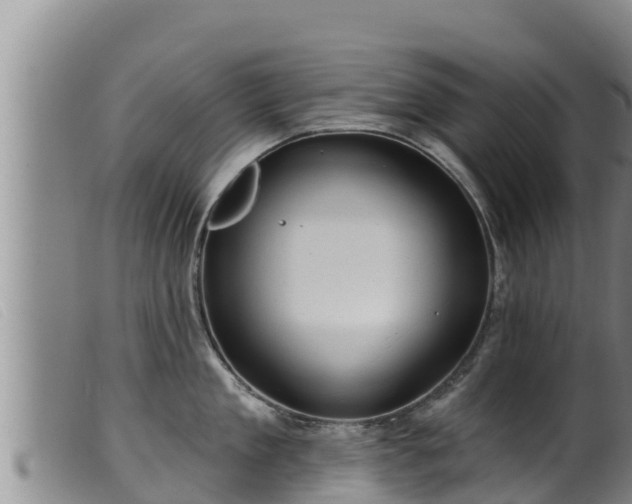 X0000099540909200805231124